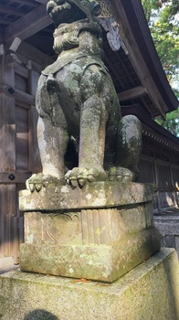 1113弥彦神社7.jpg