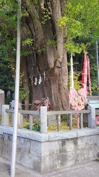 1204海南神社3.jpg